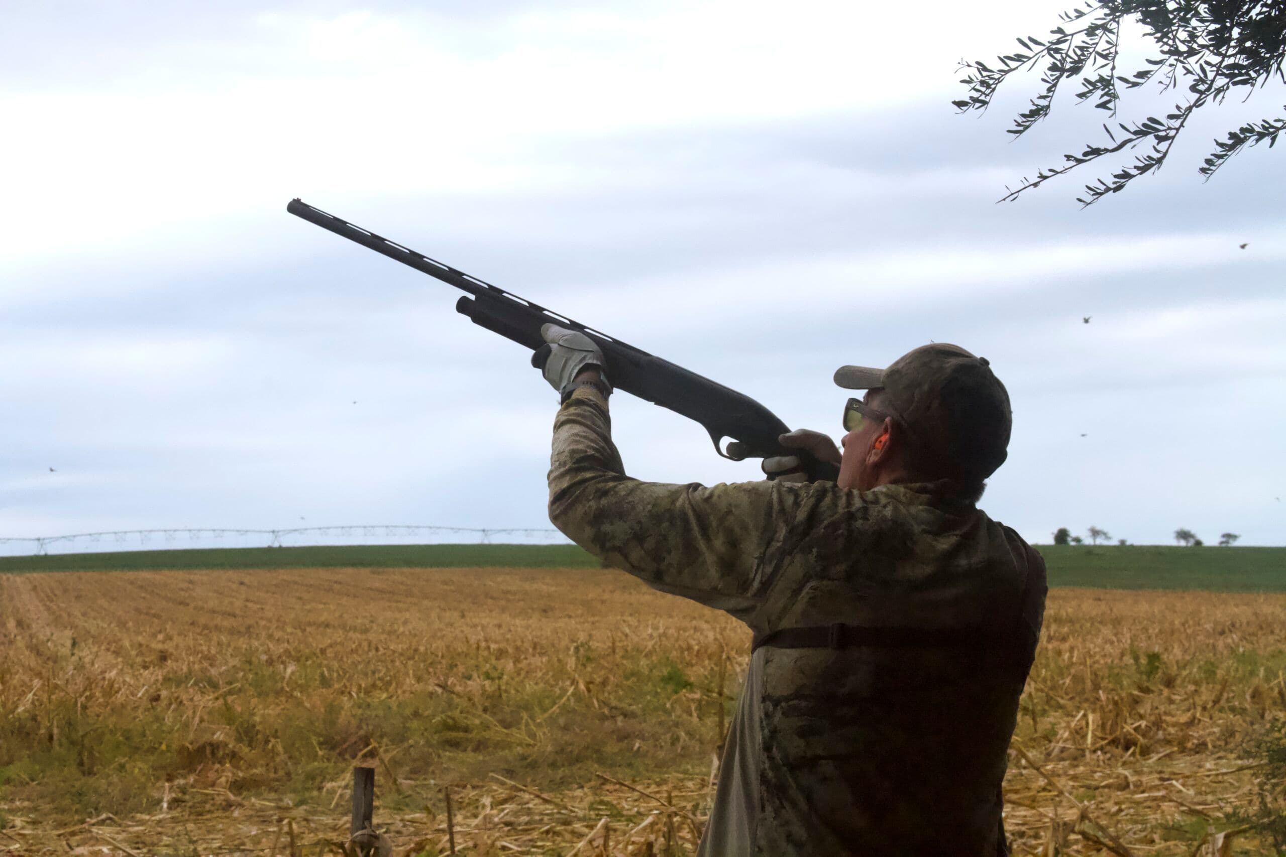 Wing shooting in the campo